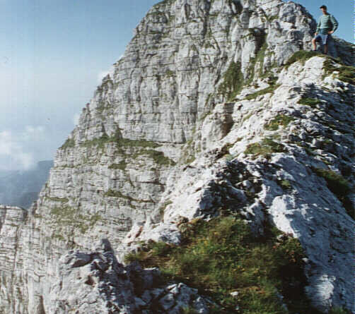 Monte Cavallo (2251 m) e Cimon di Palantina (2190 m) - via normale di salita