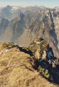 Pala Alta (1933 m) - via normale: panorama dalla cima