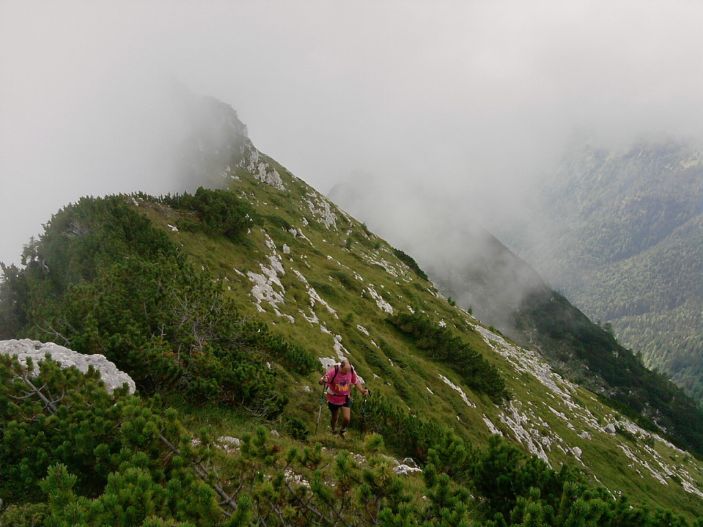 Salendo alla Quarta Pala di San Lucano